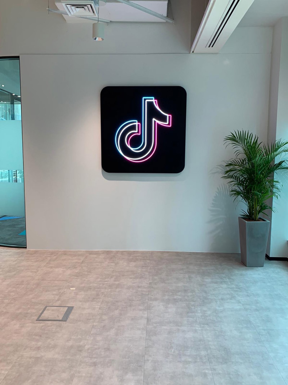 TikTok &mdash; reception logo · backlit